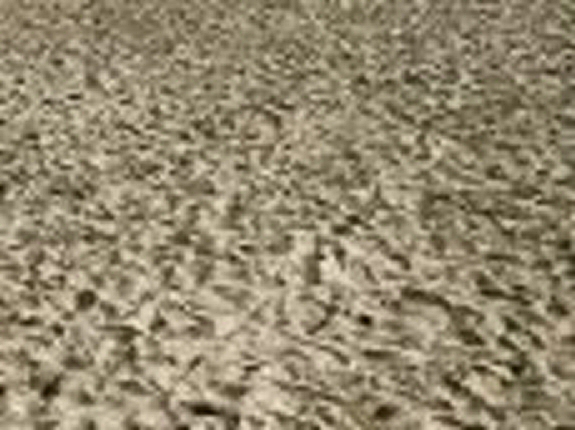 ground/sand01.jpg
