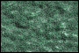 dino02.jpg