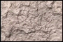 stein04.jpg