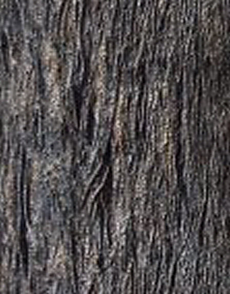 wood/brinde01.jpg